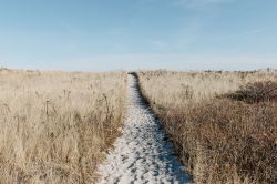 Chemin vers la plage