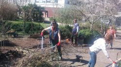 Professionnels et habitants ont retroussé leurs manches pour le débroussaillage des branches. © Photo NR