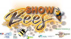 Logo du projet Show-Bees (réalisation Nicolas Mabon)